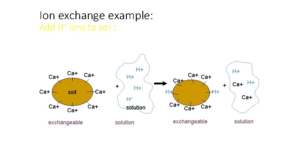 Ion exchange example: Add H+ ions to soil : Ca+ Ca+ soil Ca+ exchangeable