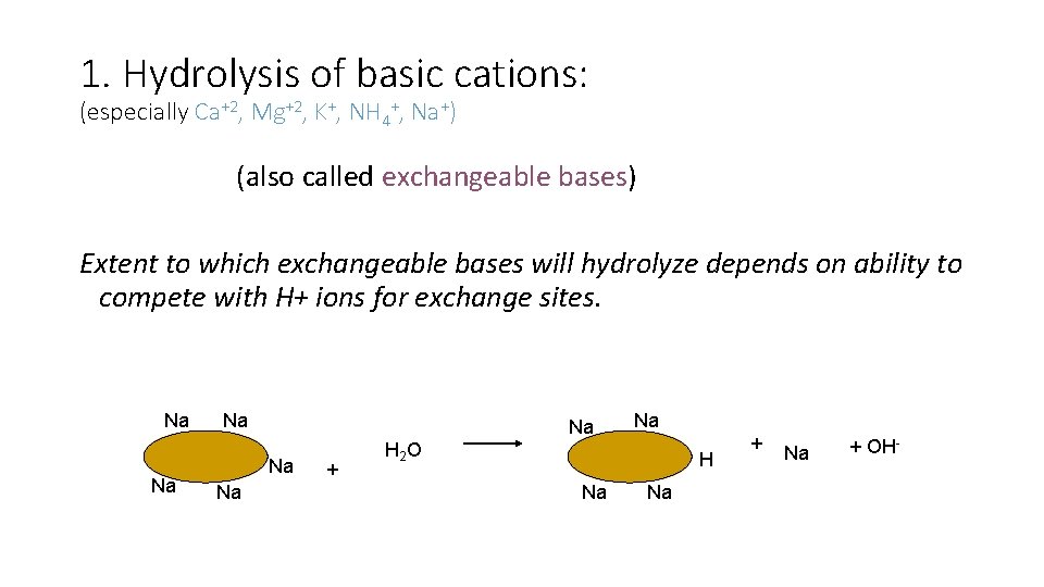 1. Hydrolysis of basic cations: (especially Ca+2, Mg+2, K+, NH 4+, Na+) (also called