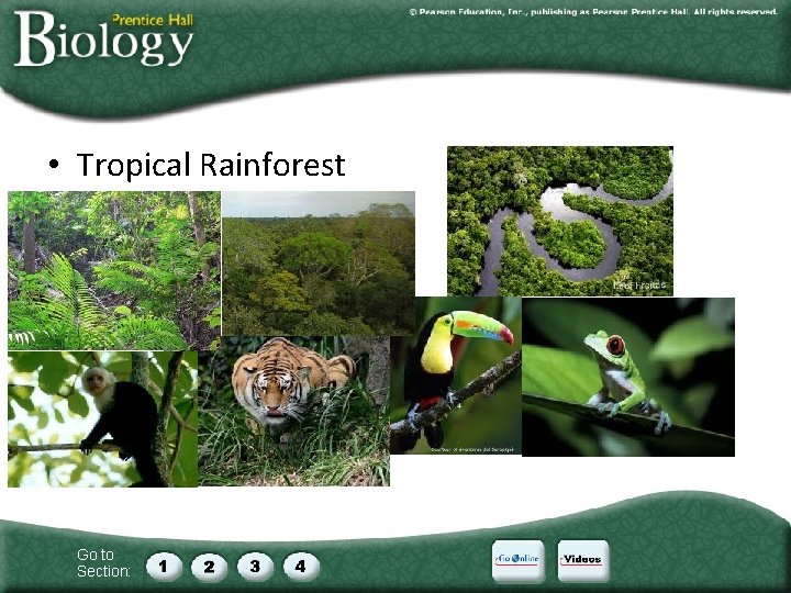  • Tropical Rainforest Go to Section: 