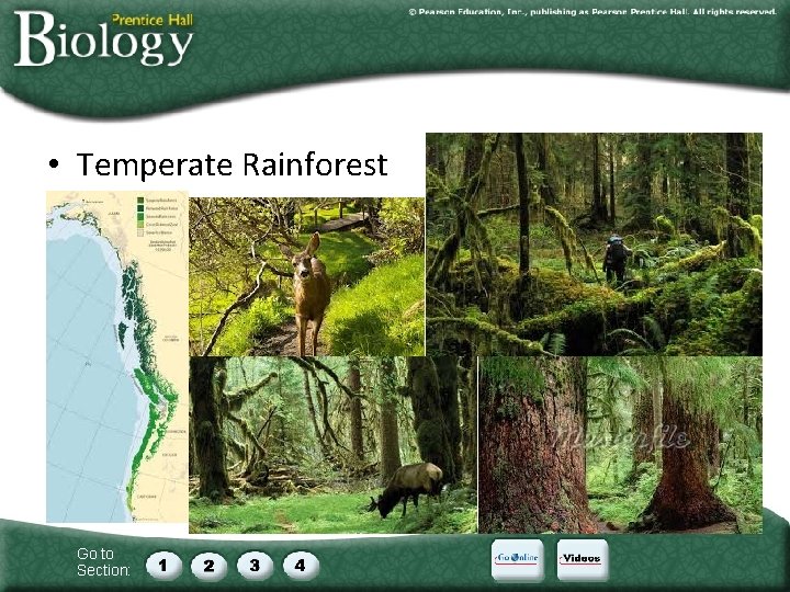  • Temperate Rainforest Go to Section: 