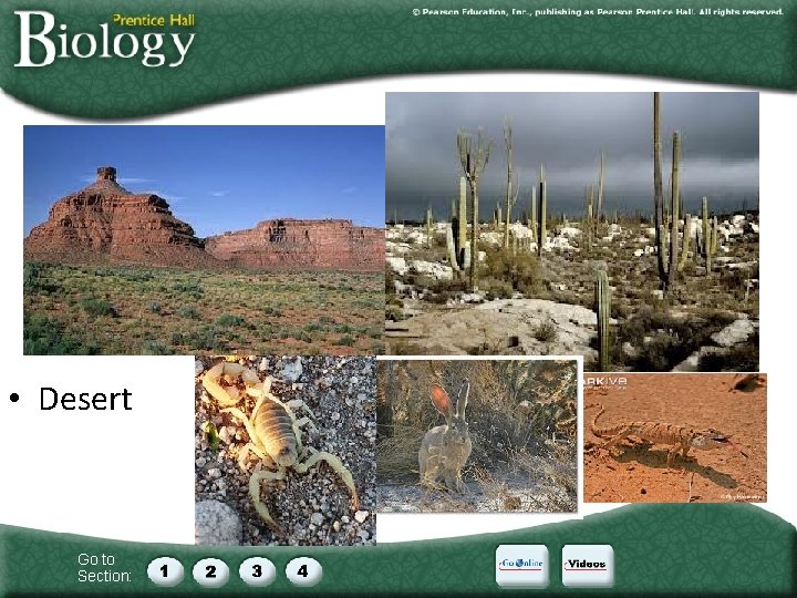  • Desert Go to Section: 