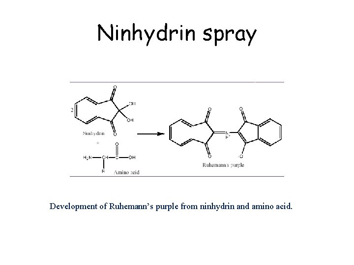 Ninhydrin spray Development of Ruhemann’s purple from ninhydrin and amino acid. 