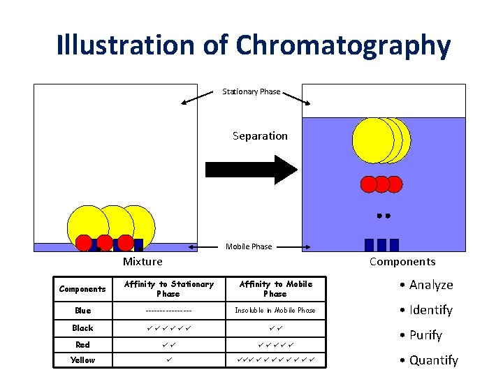 Illustration of Chromatography Stationary Phase Separation Mobile Phase Mixture Components Affinity to Stationary Phase