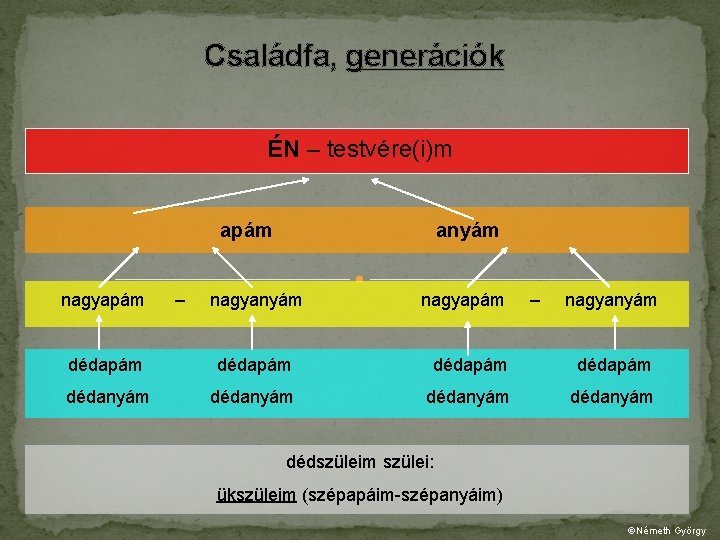 Családfa, generációk ÉN – testvére(i)m apám nagyapám – anyám nagyapám – nagyanyám dédapám dédanyám