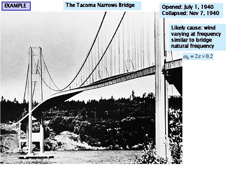 EXAMPLE The Tacoma Narrows Bridge Opened: July 1, 1940 Collapsed: Nov 7, 1940 Likely