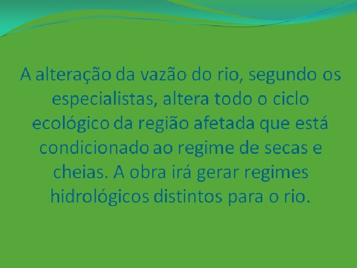 A alteração da vazão do rio, segundo os especialistas, altera todo o ciclo ecológico