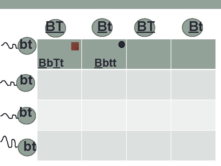 BT Bt bt Bb. Tt bt bt bt Bbtt BT Bt 