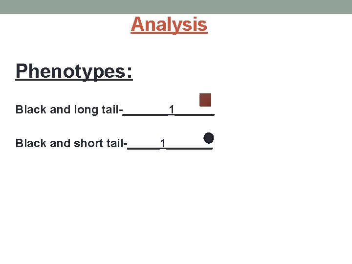 Analysis Phenotypes: Black and long tail-_______1______ Black and short tail-_____1_______ 
