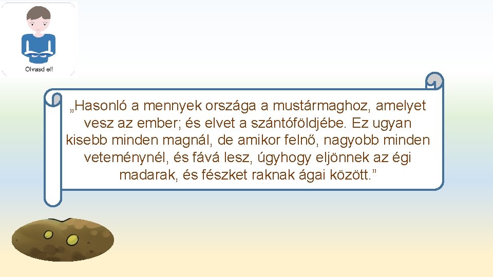 „Hasonló a mennyek országa a mustármaghoz, amelyet vesz az ember; és elvet a szántóföldjébe.