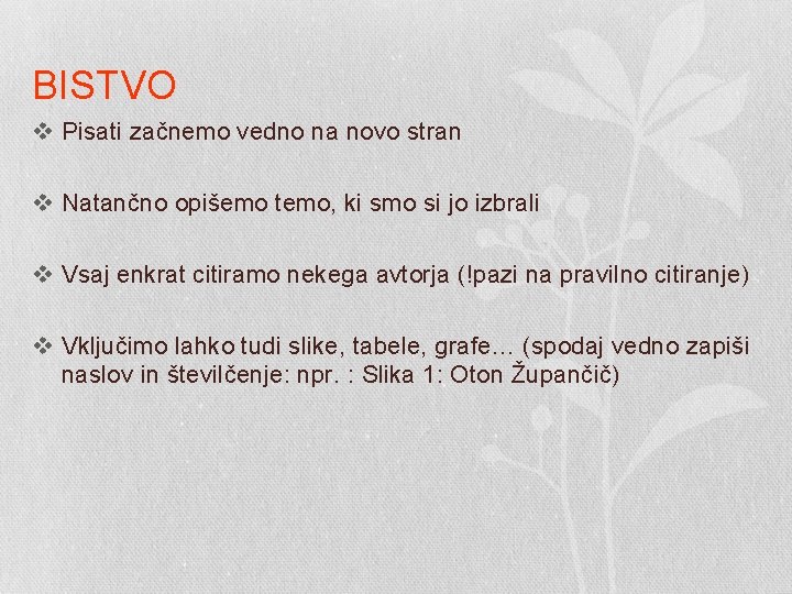 BISTVO v Pisati začnemo vedno na novo stran v Natančno opišemo temo, ki smo