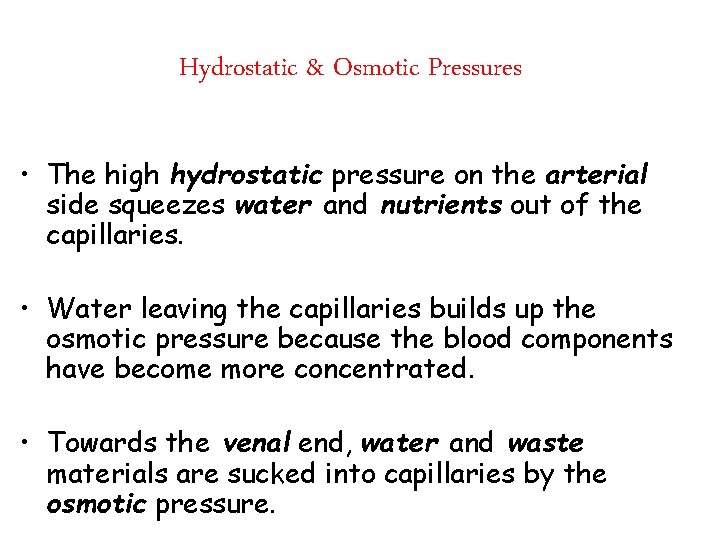 Hydrostatic & Osmotic Pressures • The high hydrostatic pressure on the arterial side squeezes