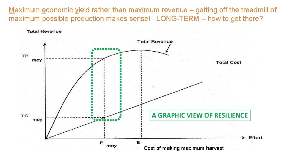 Maximum economic yield rather than maximum revenue – getting off the treadmill of maximum