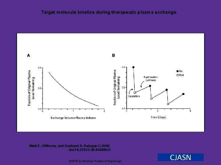 Target molecule kinetics during therapeutic plasma exchange. Mark E. Williams, and Rasheed A. Balogun