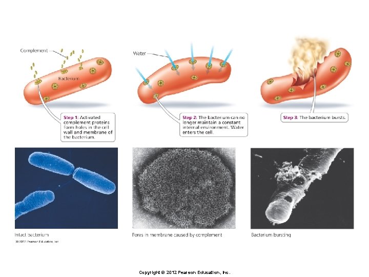 Copyright © 2012 Pearson Education, Inc. 