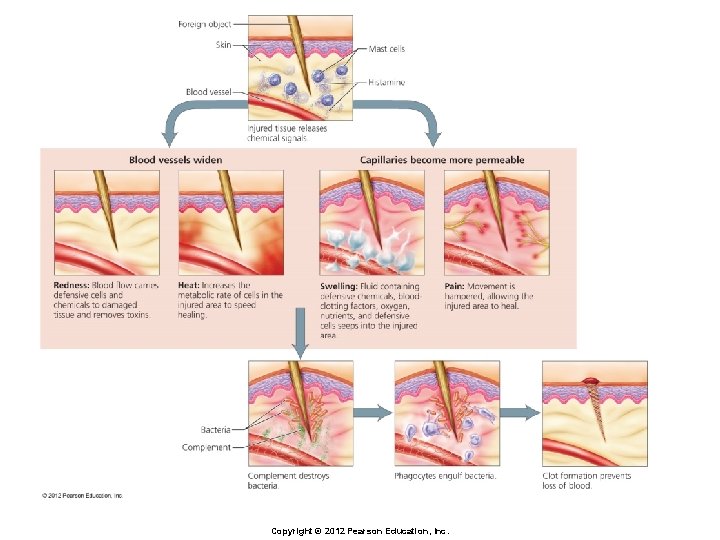 Copyright © 2012 Pearson Education, Inc. 