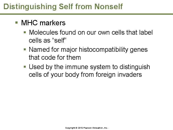 Distinguishing Self from Nonself § MHC markers § Molecules found on our own cells