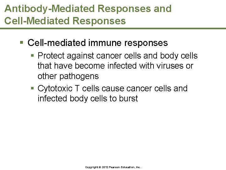 Antibody-Mediated Responses and Cell-Mediated Responses § Cell-mediated immune responses § Protect against cancer cells