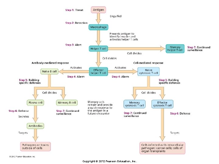 Copyright © 2012 Pearson Education, Inc. 
