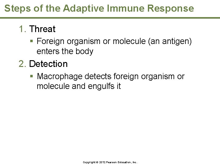 Steps of the Adaptive Immune Response 1. Threat § Foreign organism or molecule (an