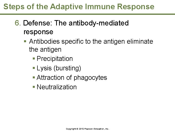 Steps of the Adaptive Immune Response 6. Defense: The antibody-mediated response § Antibodies specific