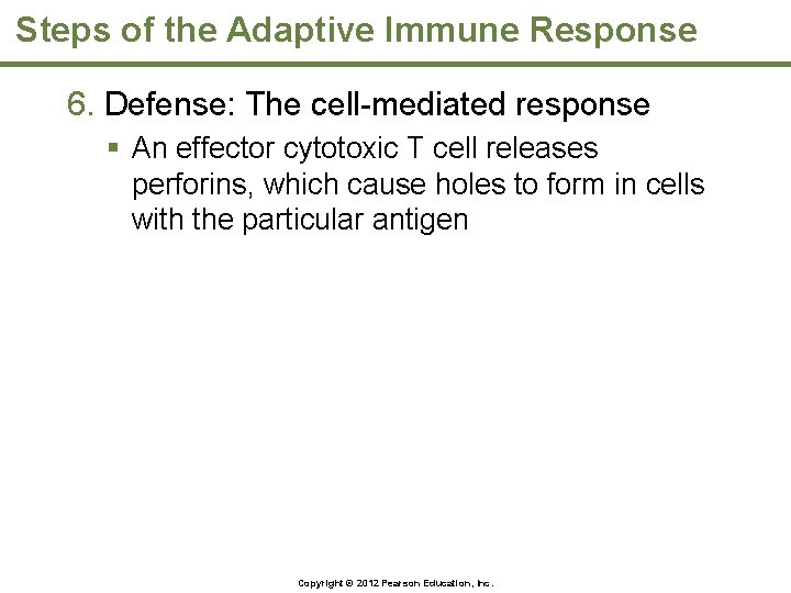 Steps of the Adaptive Immune Response 6. Defense: The cell-mediated response § An effector