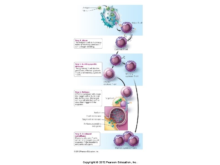 Copyright © 2012 Pearson Education, Inc. 