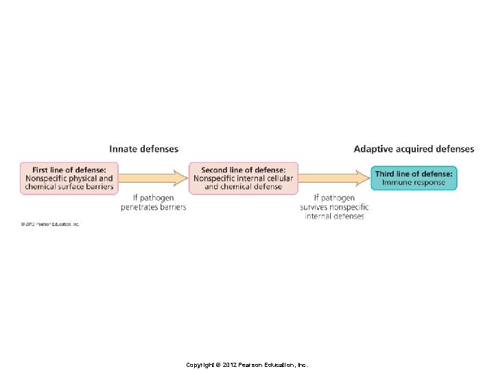 Copyright © 2012 Pearson Education, Inc. 