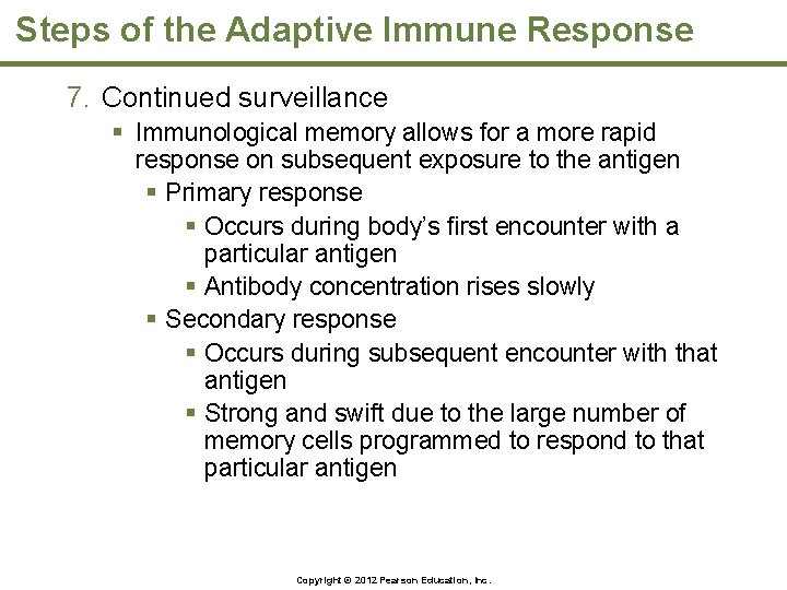 Steps of the Adaptive Immune Response 7. Continued surveillance § Immunological memory allows for