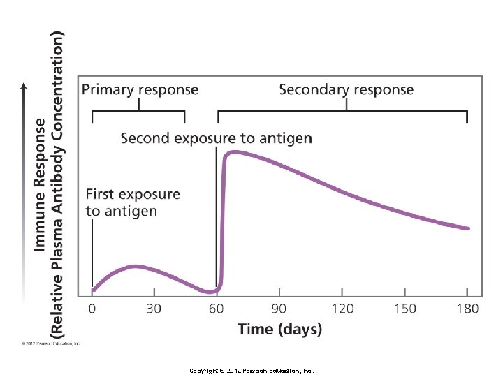 Copyright © 2012 Pearson Education, Inc. 