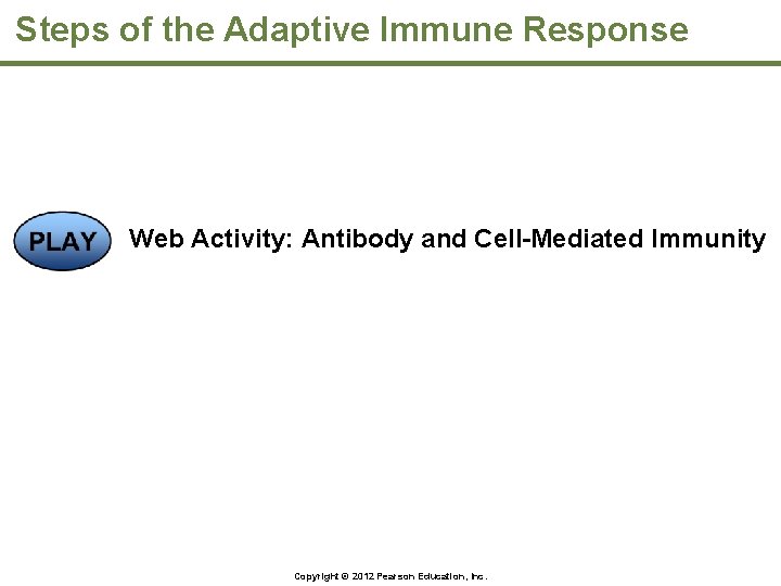 Steps of the Adaptive Immune Response Web Activity: Antibody and Cell-Mediated Immunity Copyright ©