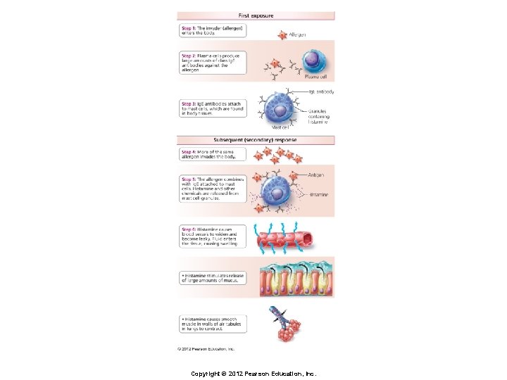 Copyright © 2012 Pearson Education, Inc. 