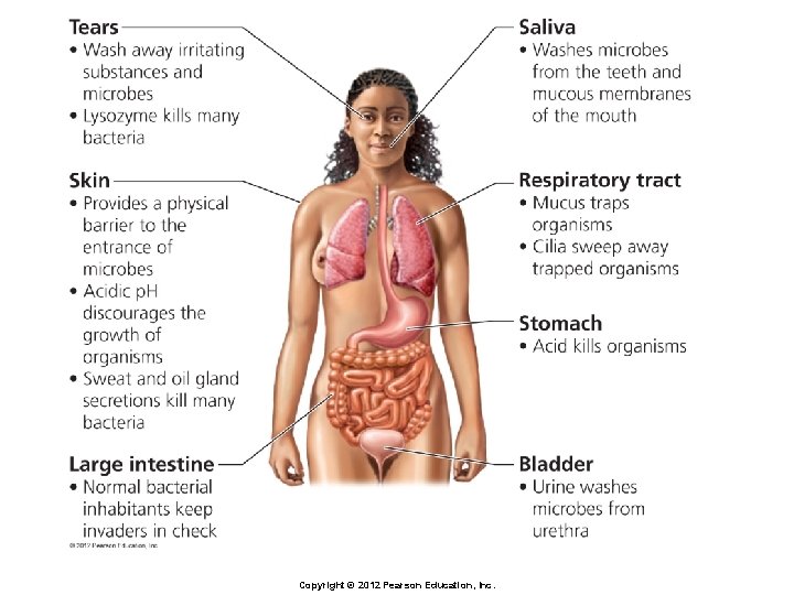 Copyright © 2012 Pearson Education, Inc. 