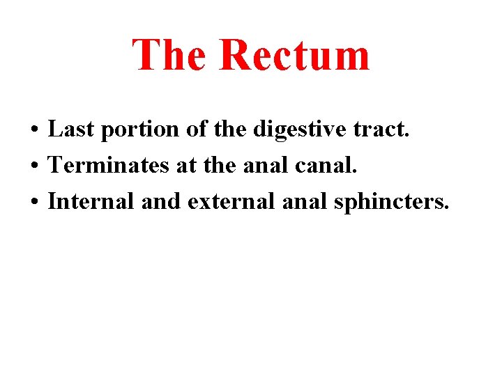 The Rectum • Last portion of the digestive tract. • Terminates at the anal