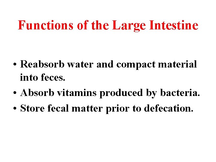 Functions of the Large Intestine • Reabsorb water and compact material into feces. •