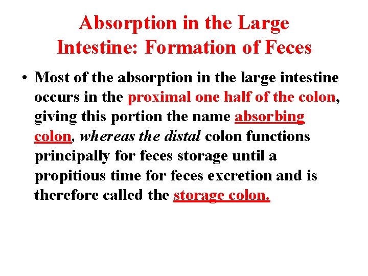 Absorption in the Large Intestine: Formation of Feces • Most of the absorption in