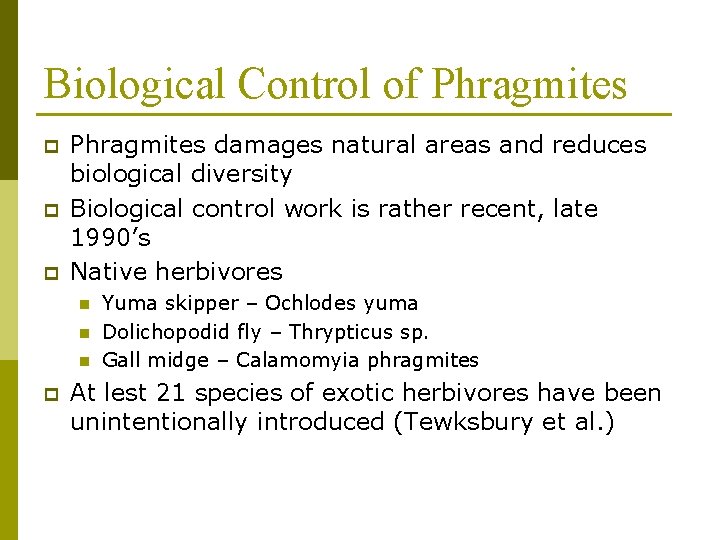 Biological Control of Phragmites p p p Phragmites damages natural areas and reduces biological