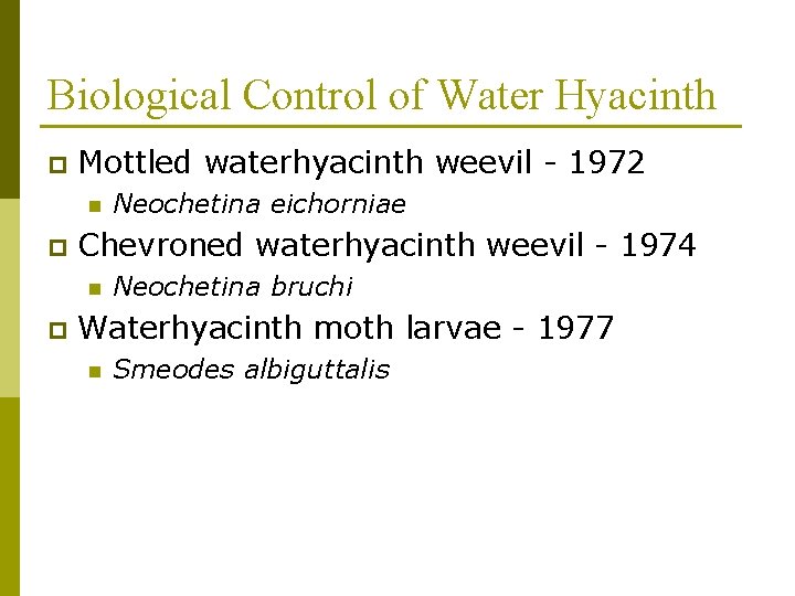 Biological Control of Water Hyacinth p Mottled waterhyacinth weevil - 1972 n p Chevroned