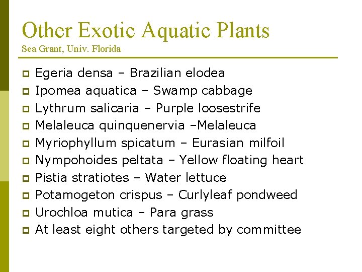 Other Exotic Aquatic Plants Sea Grant, Univ. Florida p p p p p Egeria