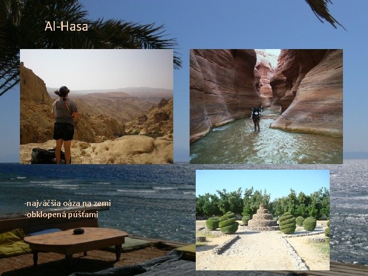 Al-Hasa -najväčšia oáza na zemi -obklopená púšťami 