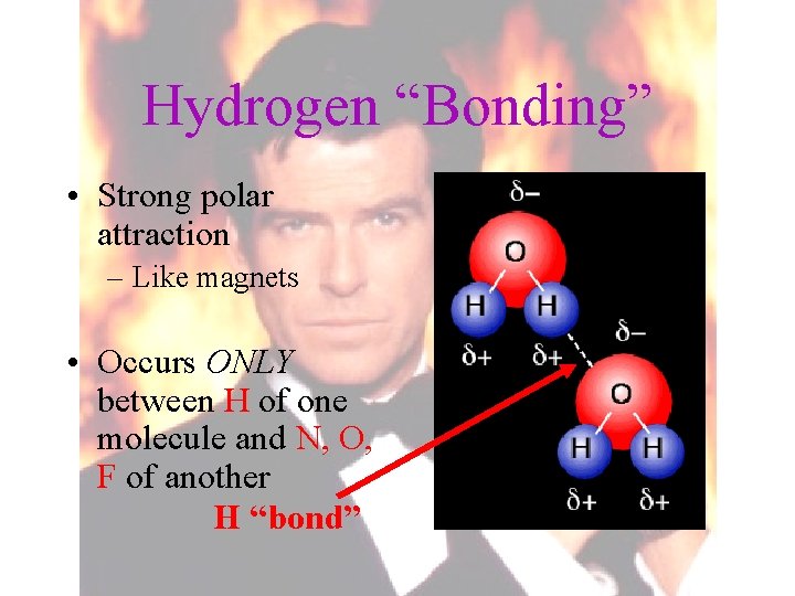 Hydrogen “Bonding” • Strong polar attraction – Like magnets • Occurs ONLY between H