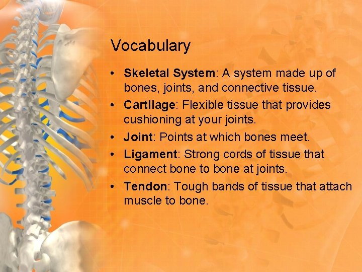 Vocabulary • Skeletal System: A system made up of bones, joints, and connective tissue.