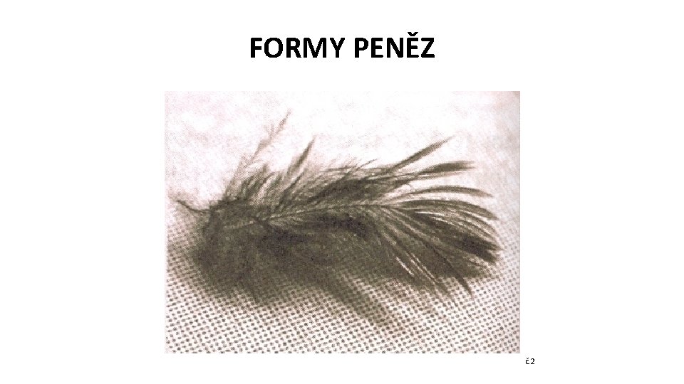 FORMY PENĚZ č. 2 