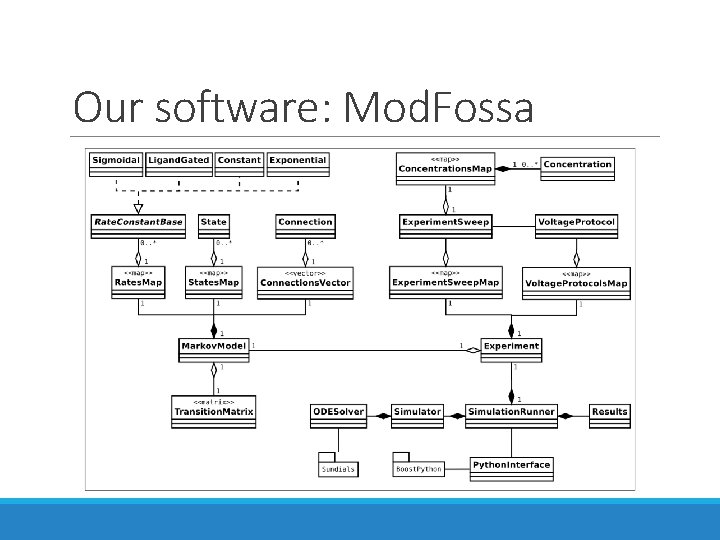Our software: Mod. Fossa Our software: Mod. Fossa