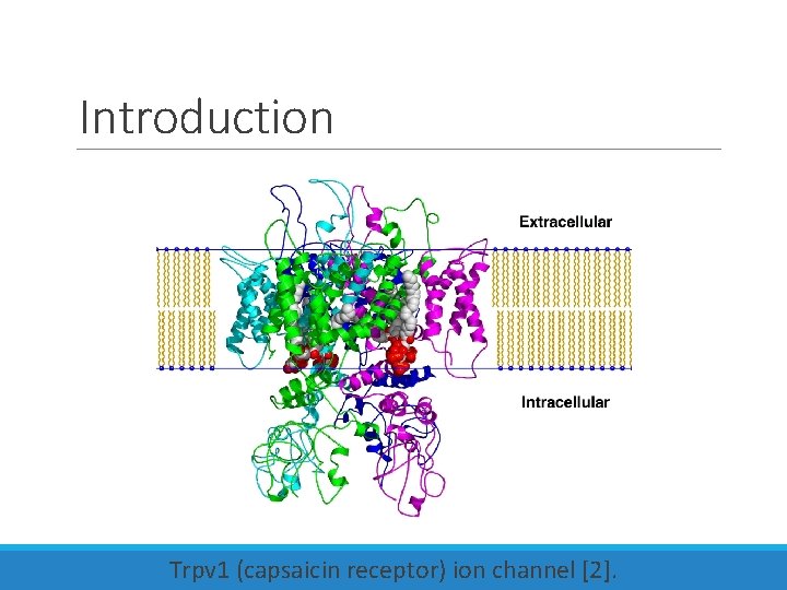 Introduction Trpv 1 (capsaicin receptor) ion channel [2]. 