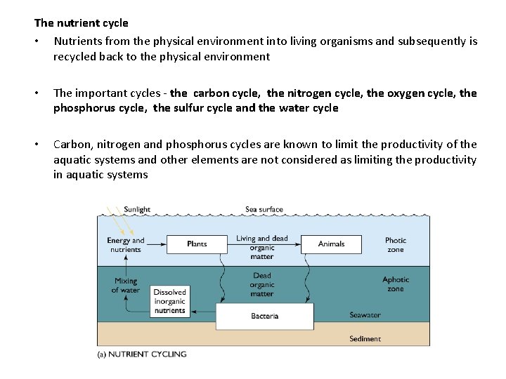 The nutrient cycle • Nutrients from the physical environment into living organisms and subsequently