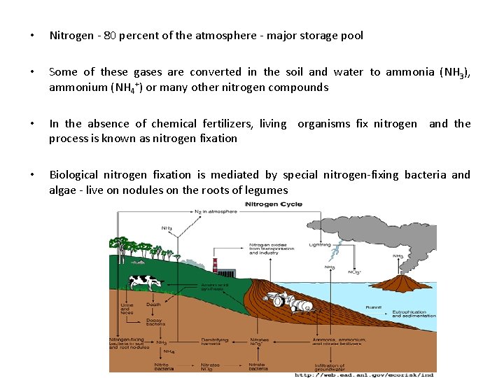  • Nitrogen - 80 percent of the atmosphere - major storage pool •