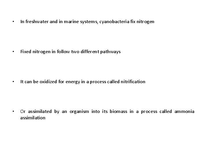  • In freshwater and in marine systems, cyanobacteria fix nitrogen • Fixed nitrogen