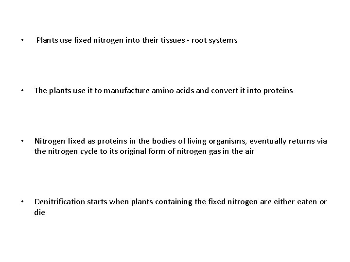  • Plants use fixed nitrogen into their tissues - root systems • The