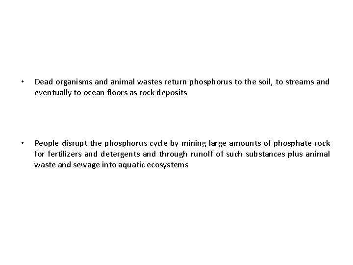  • Dead organisms and animal wastes return phosphorus to the soil, to streams