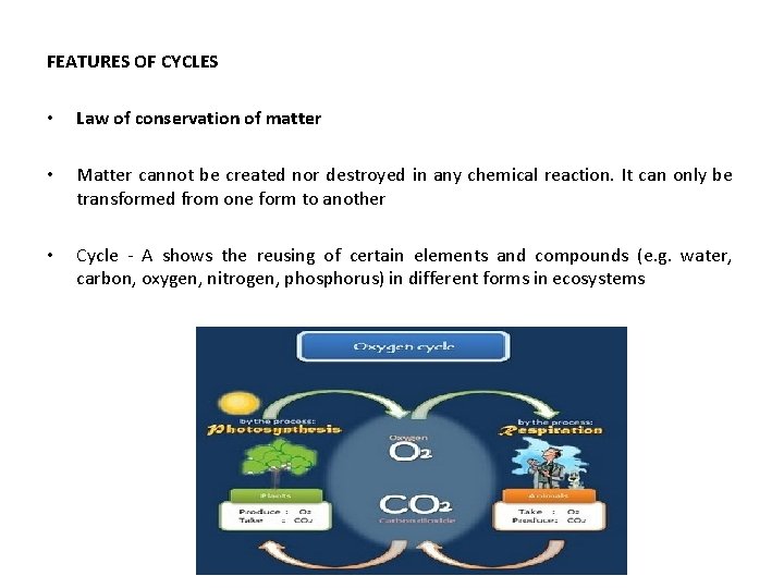 FEATURES OF CYCLES • Law of conservation of matter • Matter cannot be created